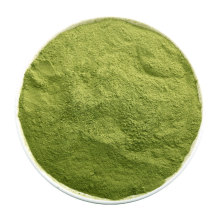 Manufacturer Supply Organic Matcha Green Tea Extract